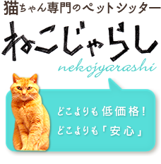 猫ちゃん専門のペットシッターねこじゃらし。どんな時でもご利用しやすいよう、安心価格の真心をこめたサービスで大切な家族のお手伝いをいたします。