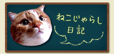 ねこじゃらし日記