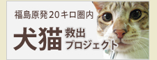 福島原発２０キロ圏内犬猫救出プロジェクト
